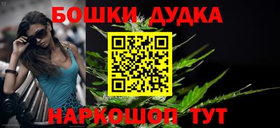 гашик Кимры