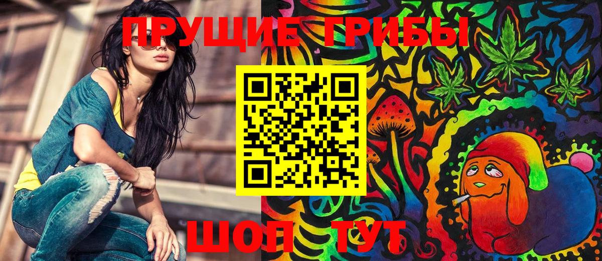 Псилоцибиновые грибы Psilocybe  Вход с VPN  Красноармейск 